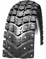 Iceman Schwalbe Iceman